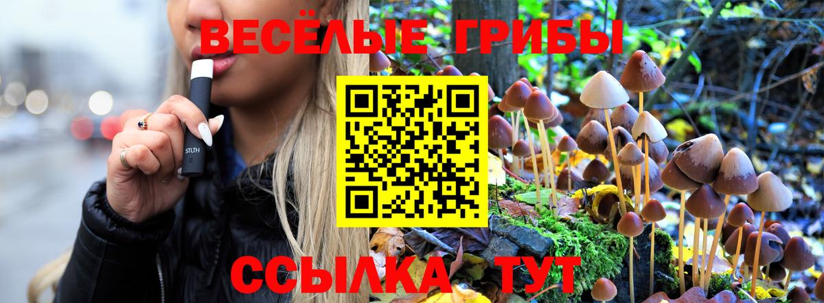 Галлюциногенные грибы Magic Shrooms Спасск-Дальний