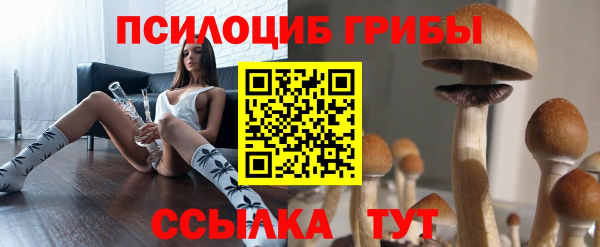 Спасск-Дальний  Галлюциногенные грибы MAGIC MUSHROOMS  Вход с VPN  где найти   Галлюциногенные грибы GOLDEN TEACHER 
